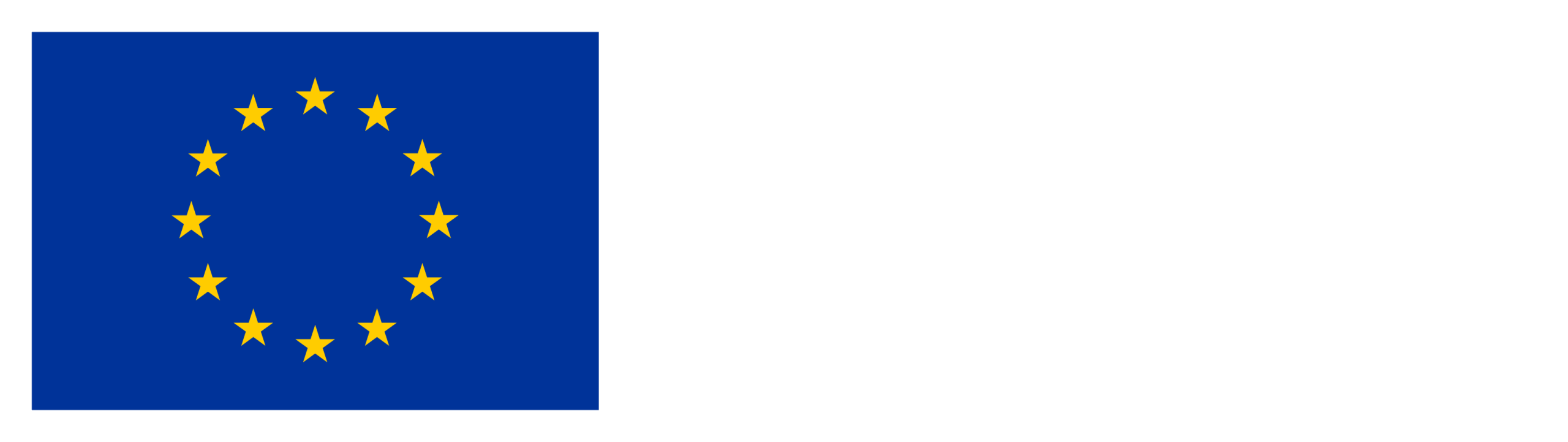 Co-financed by the European Union