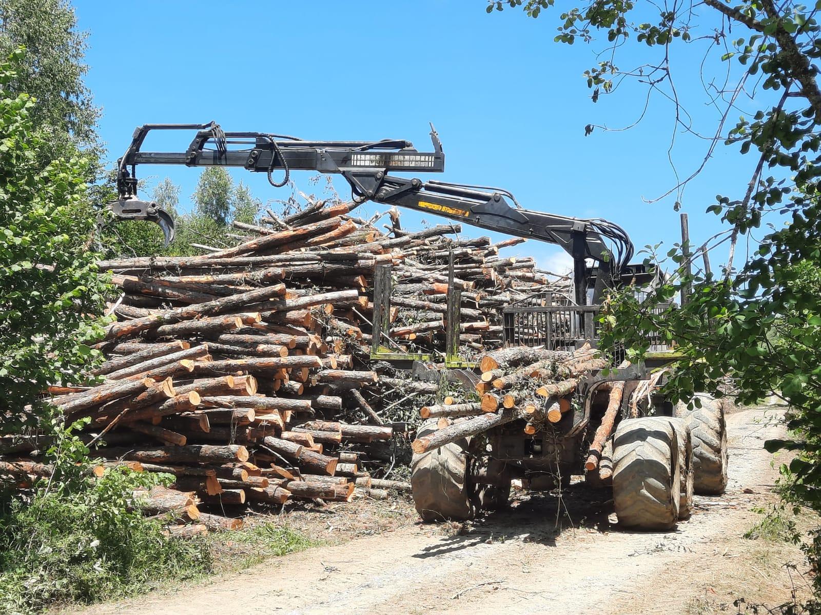 Forwarder at the wood-mass stockpile after clearing