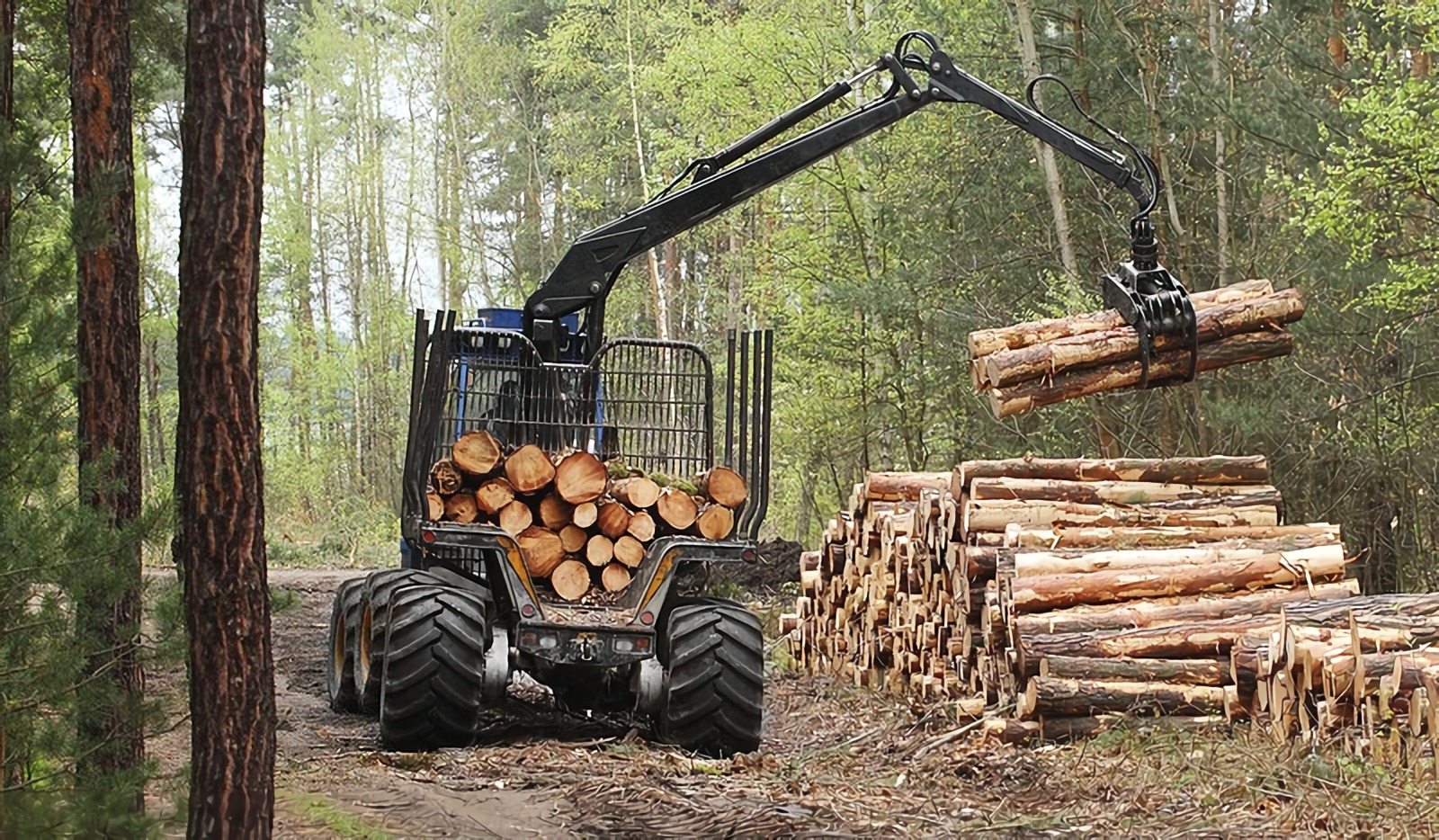 Clearing and loading of wood mass with a forwarder