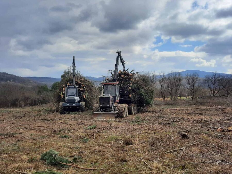 Clearing overgrown land with a harvester