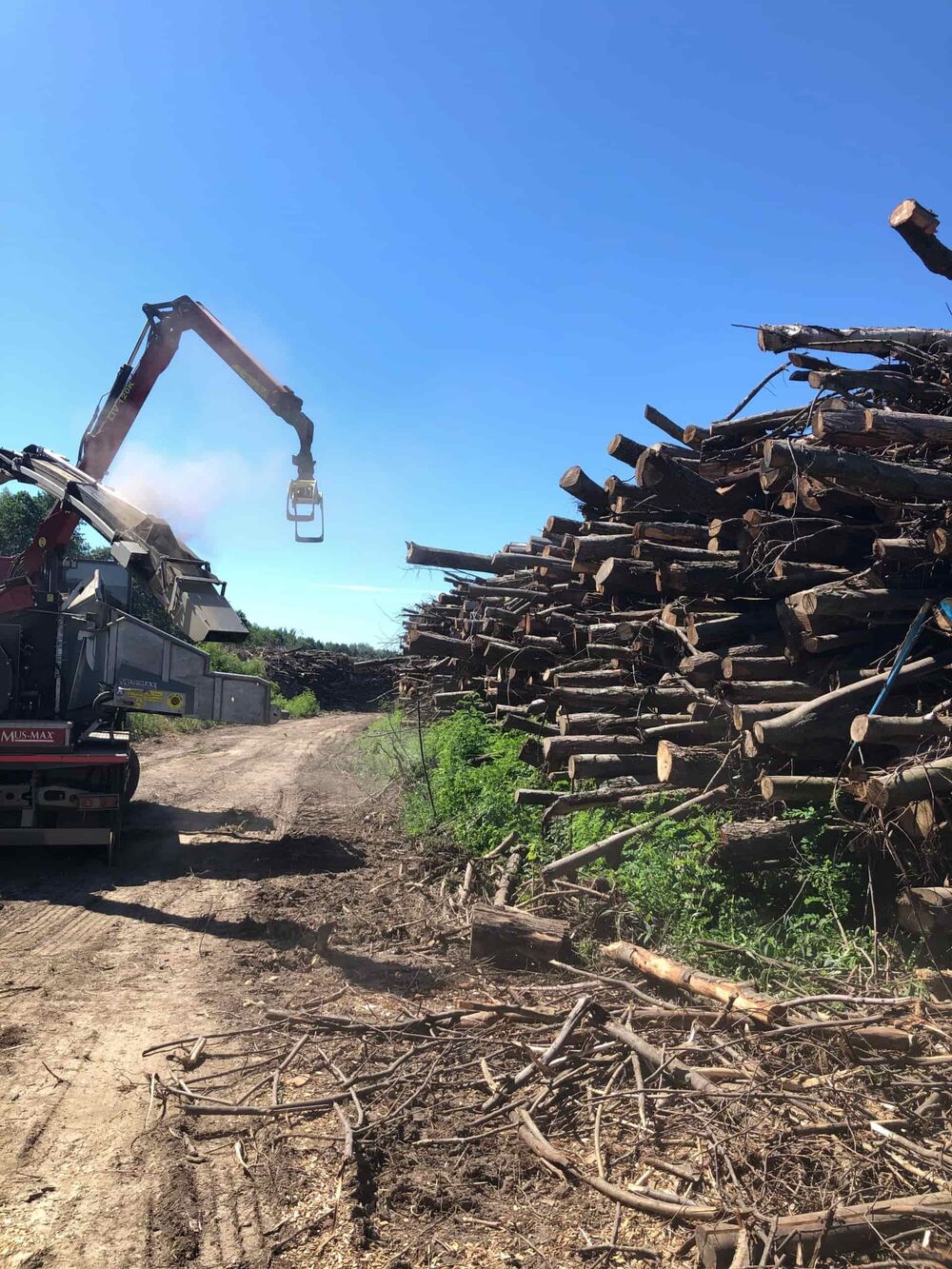 Chipper processing wood