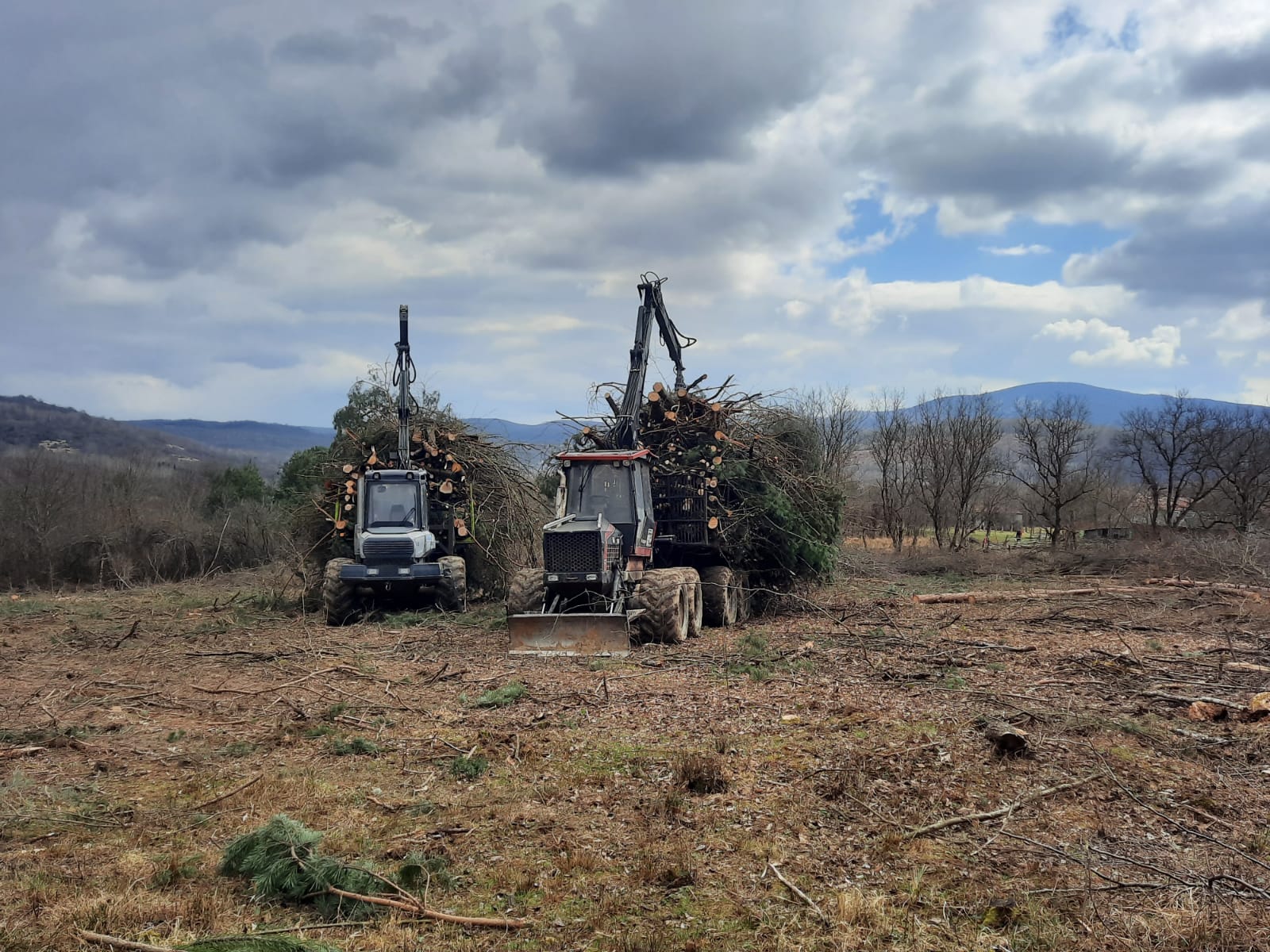 Cleared agricultural land, the result of clearing work