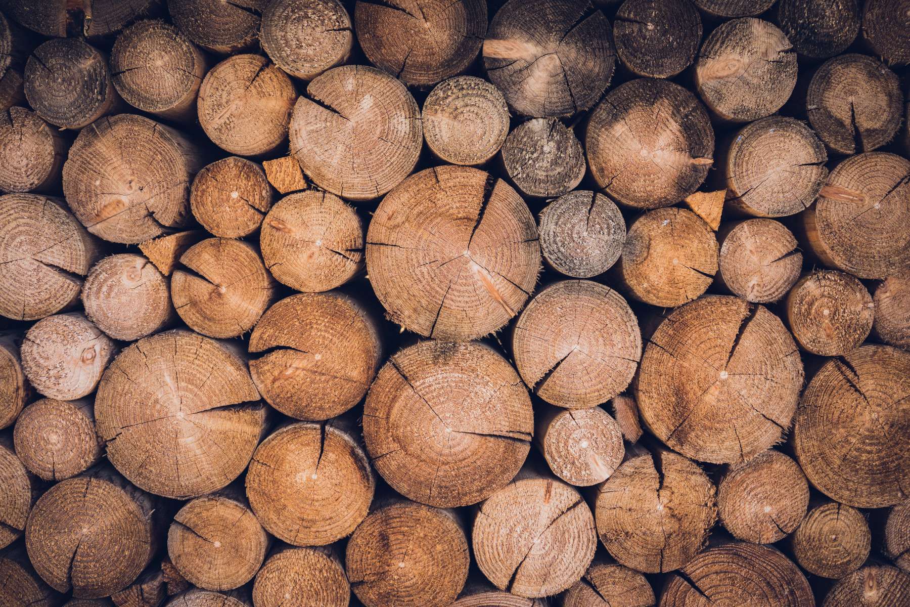 Raw wood material prepared for processing